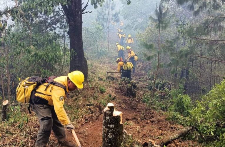 Debido a la caída de un rayo, se registra un incendio forestal en el paraje Tlanepaquila localidad Tepetlatixtla, entre Magdalena y Tequila.